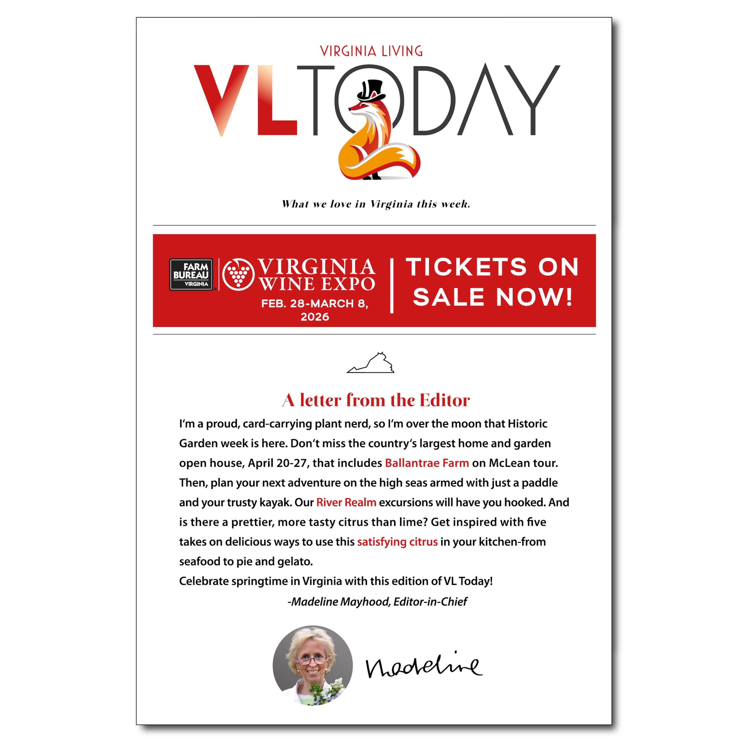 Virginia_FOX_mascot_logo-03